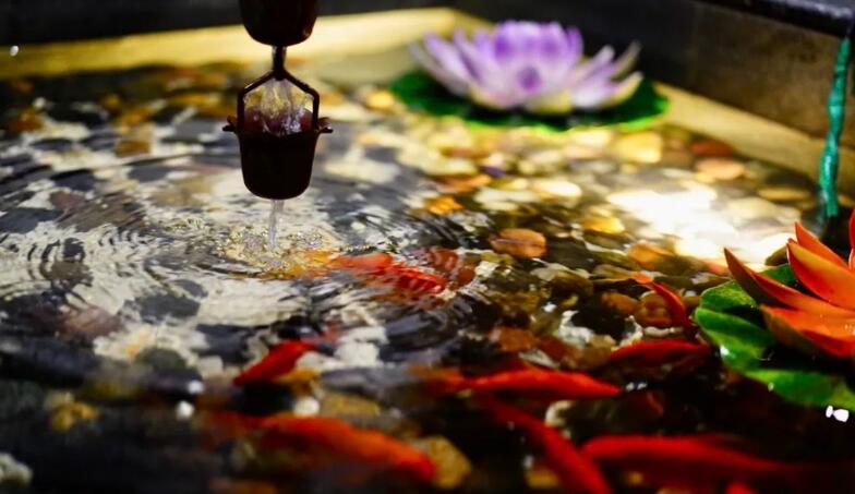 四川成都轻奢桑拿休闲水会让您在繁忙的工作之余放松片刻莫负韶华